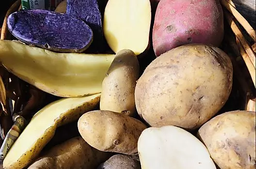La nostra varietà di patate colorate