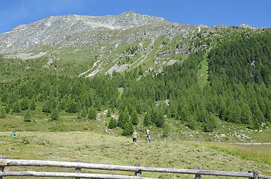 La lavorazione del fieno alla malga Stalleralm
