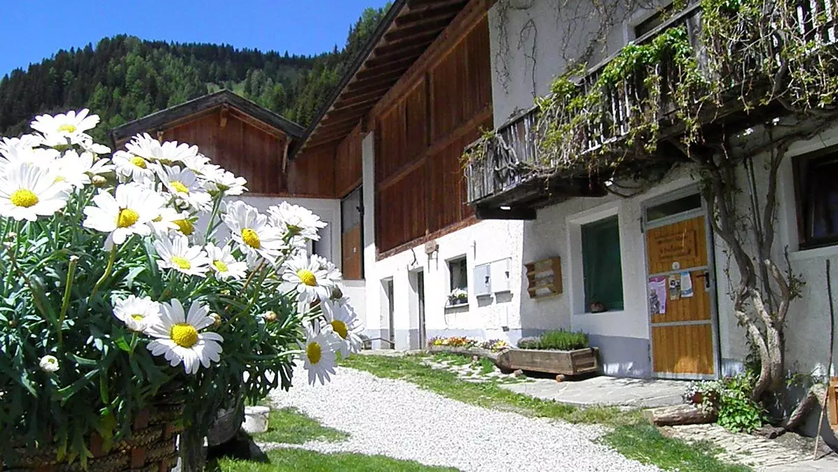 Ungererhof - Bildergalerie Photo