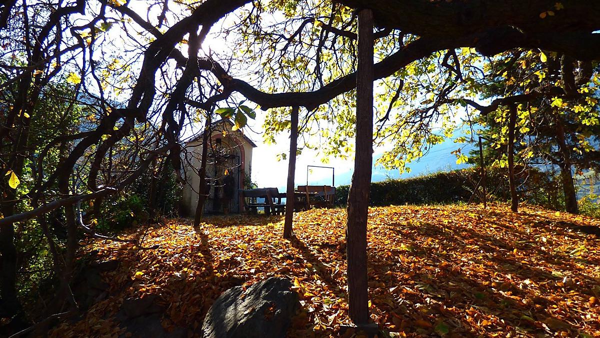 Unterfinserhof - Bildergalerie Photo