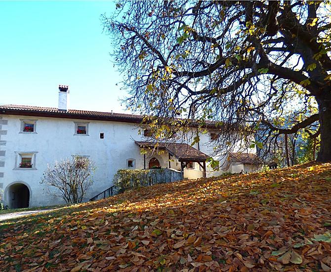 Unterfinserhof - Bildergalerie Photo