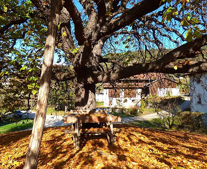 Unterfinserhof - Bildergalerie Photo