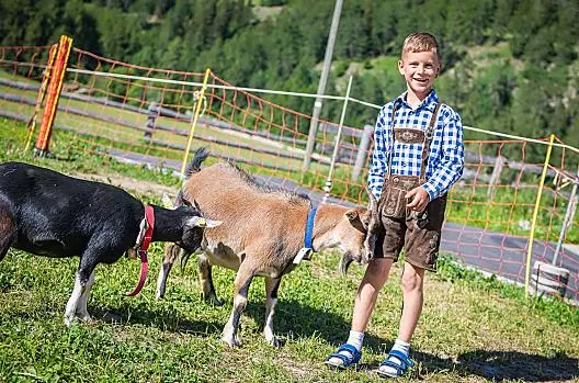 Le nostre capre nane Timo e Franzi