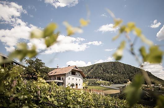 Spornberg - Liste Photo