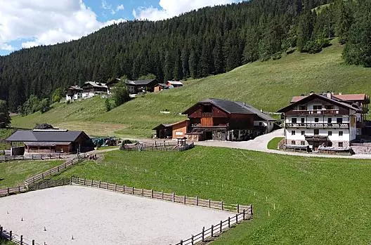 Il nostro maso con stalle per mucche e cavalli