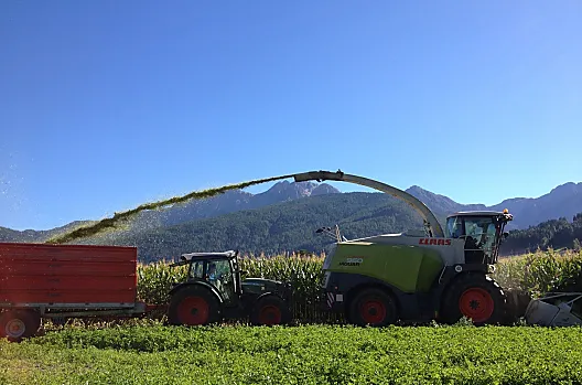 In autunno si raccoglie il mais.