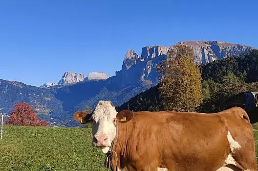 Aschnerhof - Liste Photo
