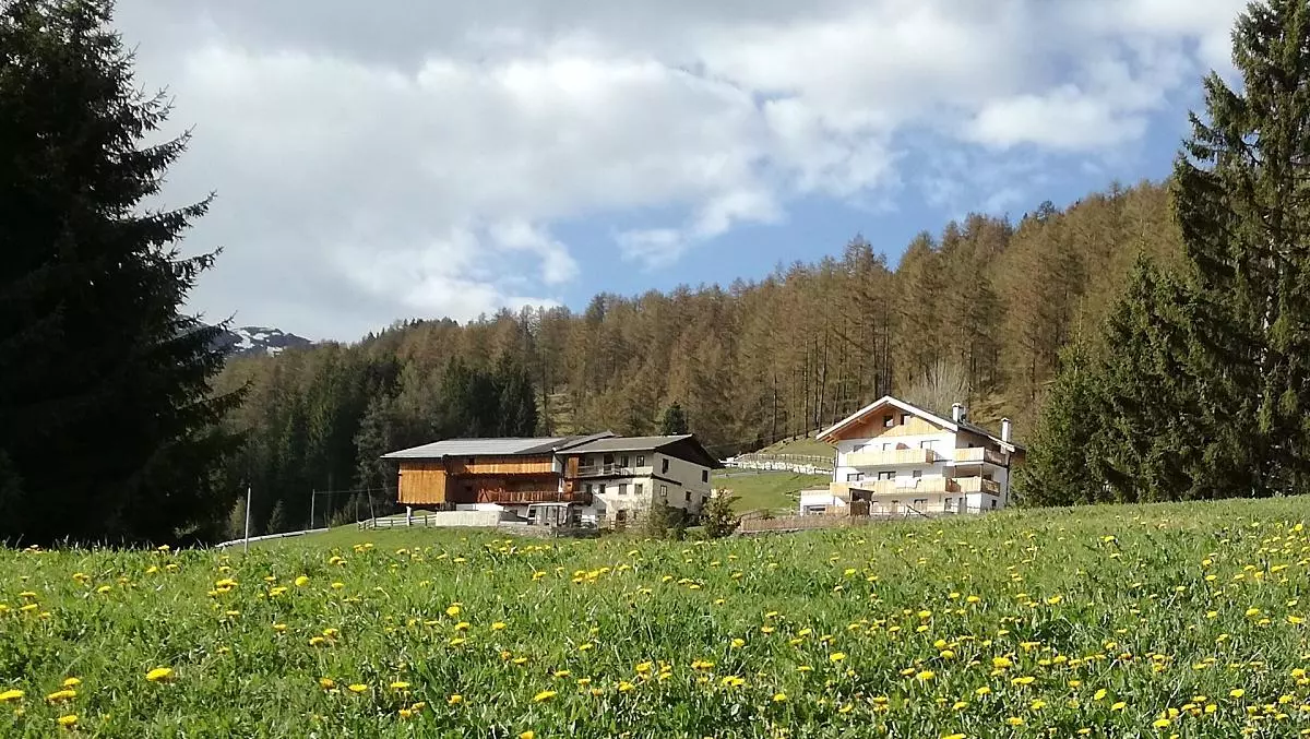 Risveglio di primavera