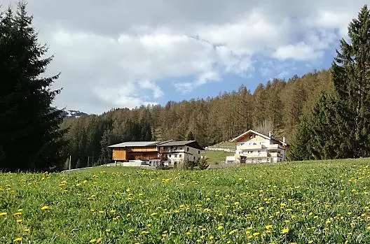 Risveglio di primavera