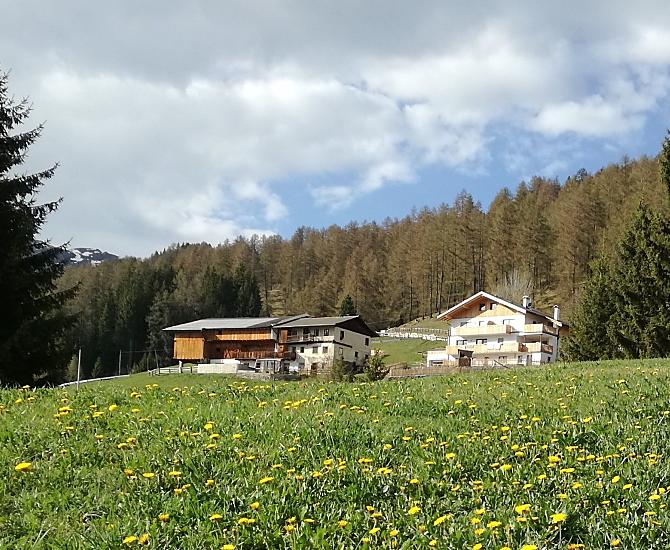 Risveglio di primavera
