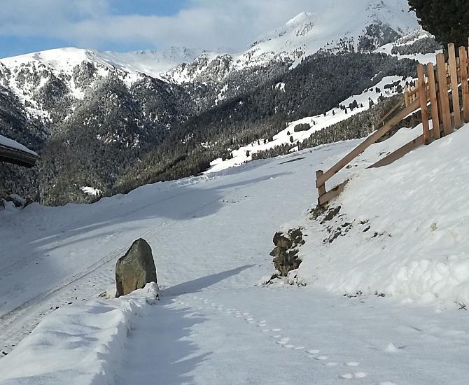 Orme di gatto nella prima neve