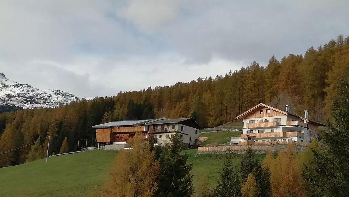 Autunno colorato
