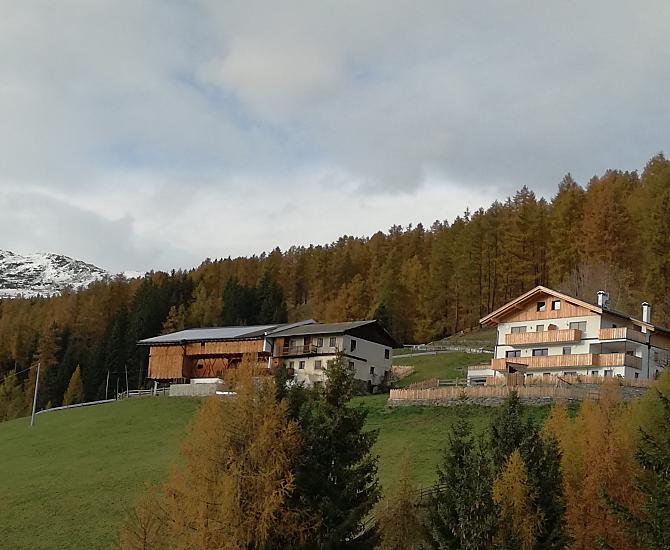 Autunno colorato