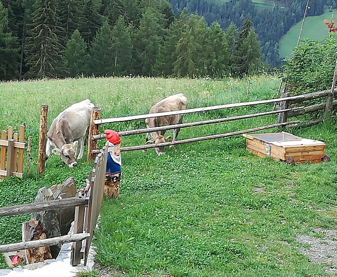 Eviva e Serena al pascolo