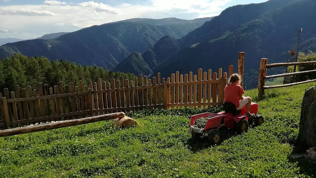L'erba fresca del parco giochi per gli animali