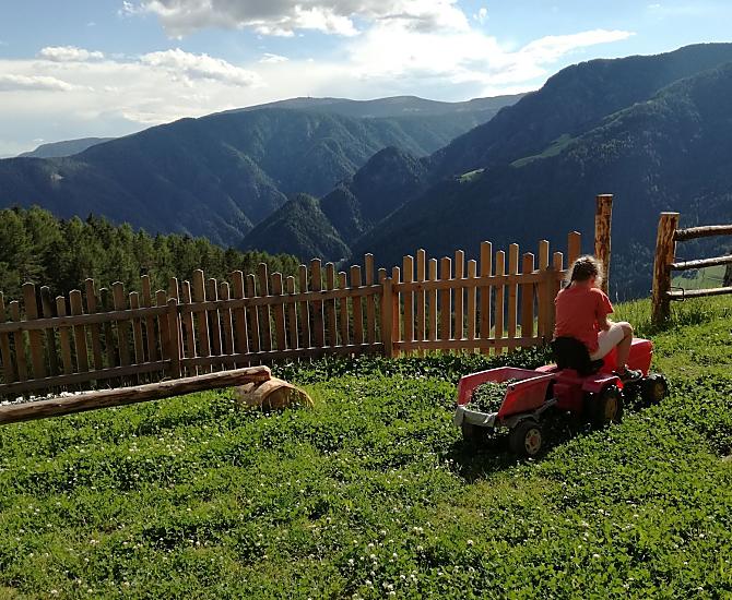 L'erba fresca del parco giochi per gli animali
