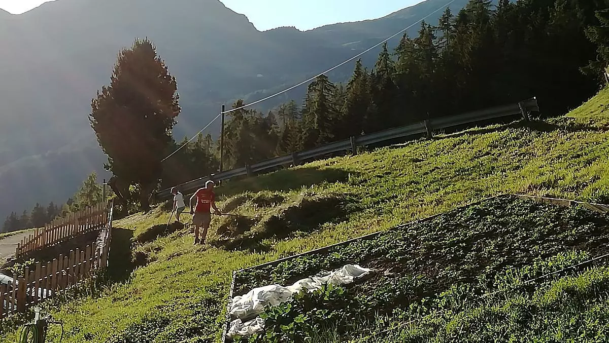 Gli ultimi raggi di sole durante la raccolta del fieno