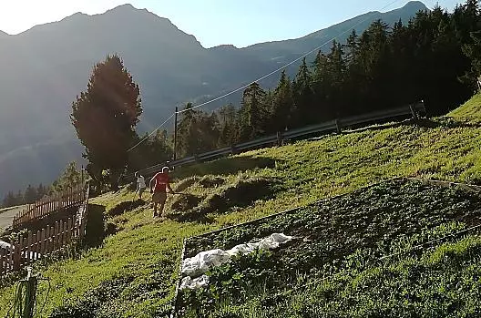 Gli ultimi raggi di sole durante la raccolta del fieno