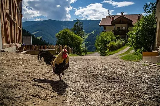 Krinner - Liste Photo
