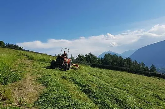 Il contadino Hannes durante i lavori di falciatura all'inizio dell'estate.