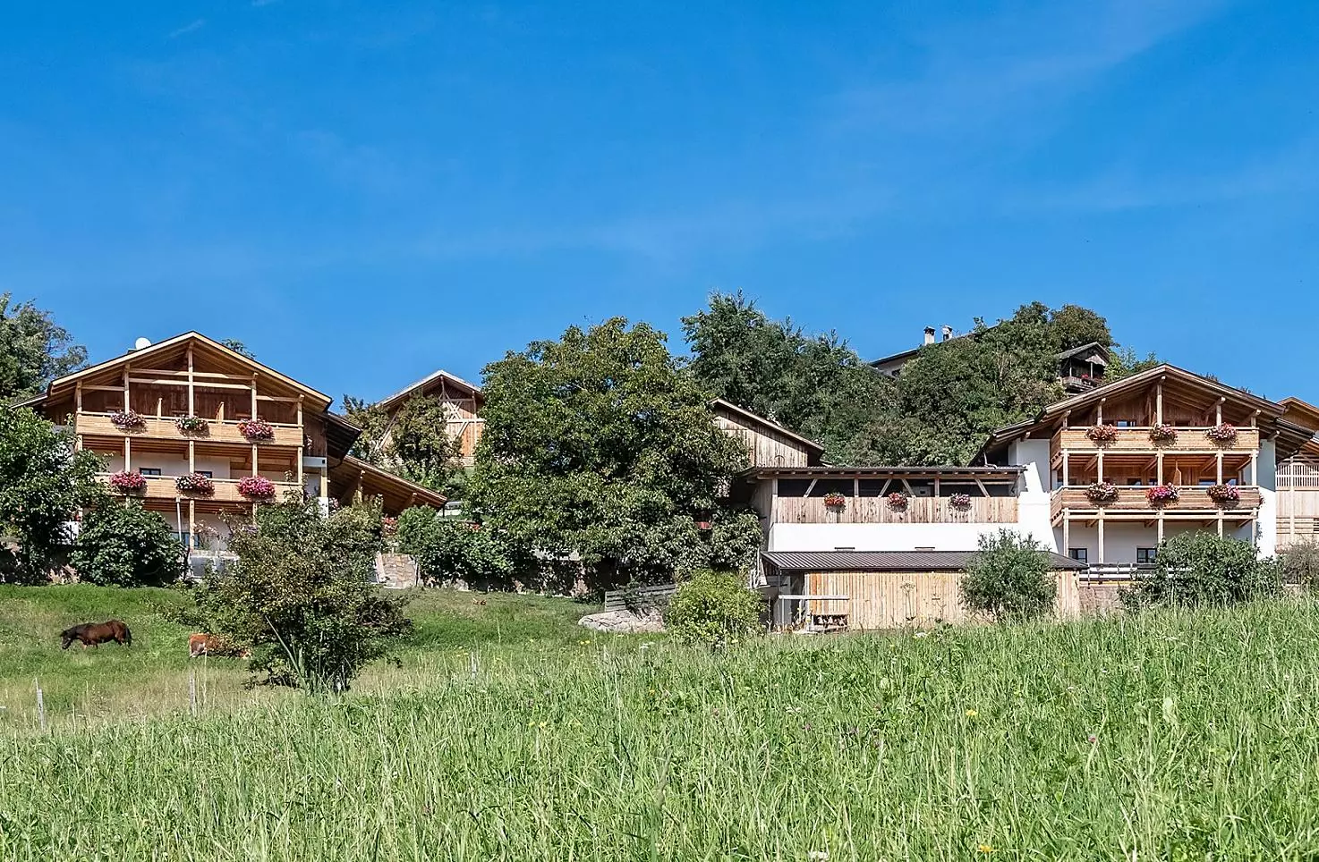 Wieserhof - Bildergalerie Photo