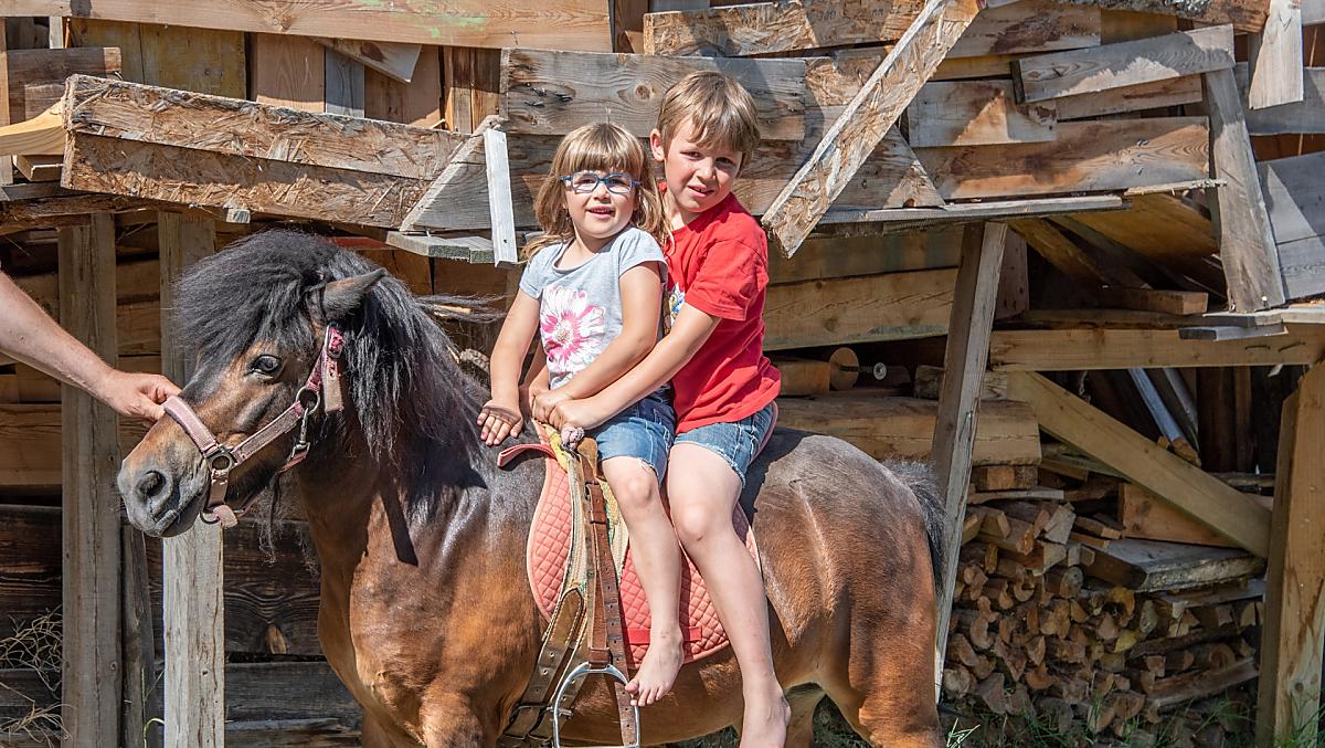 Equitazione su pony