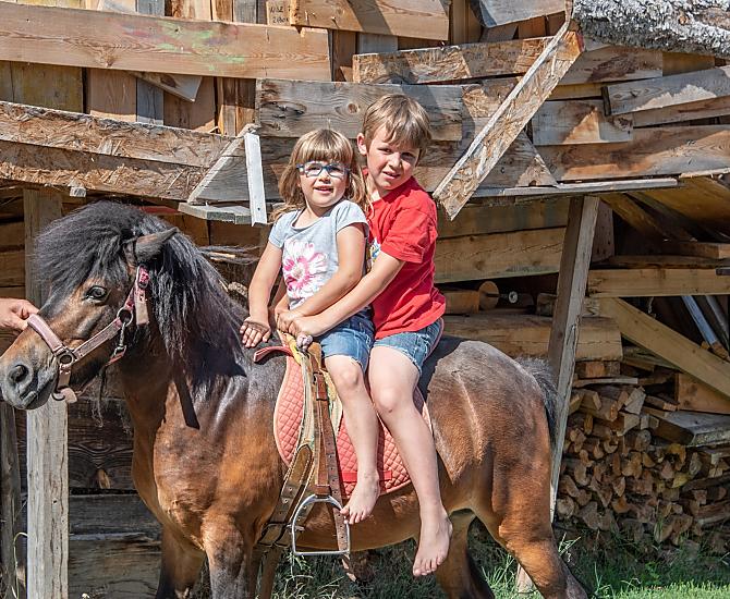 Equitazione su pony