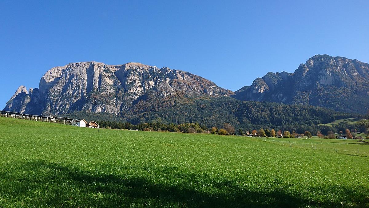 Platzerhof - Bildergalerie Photo