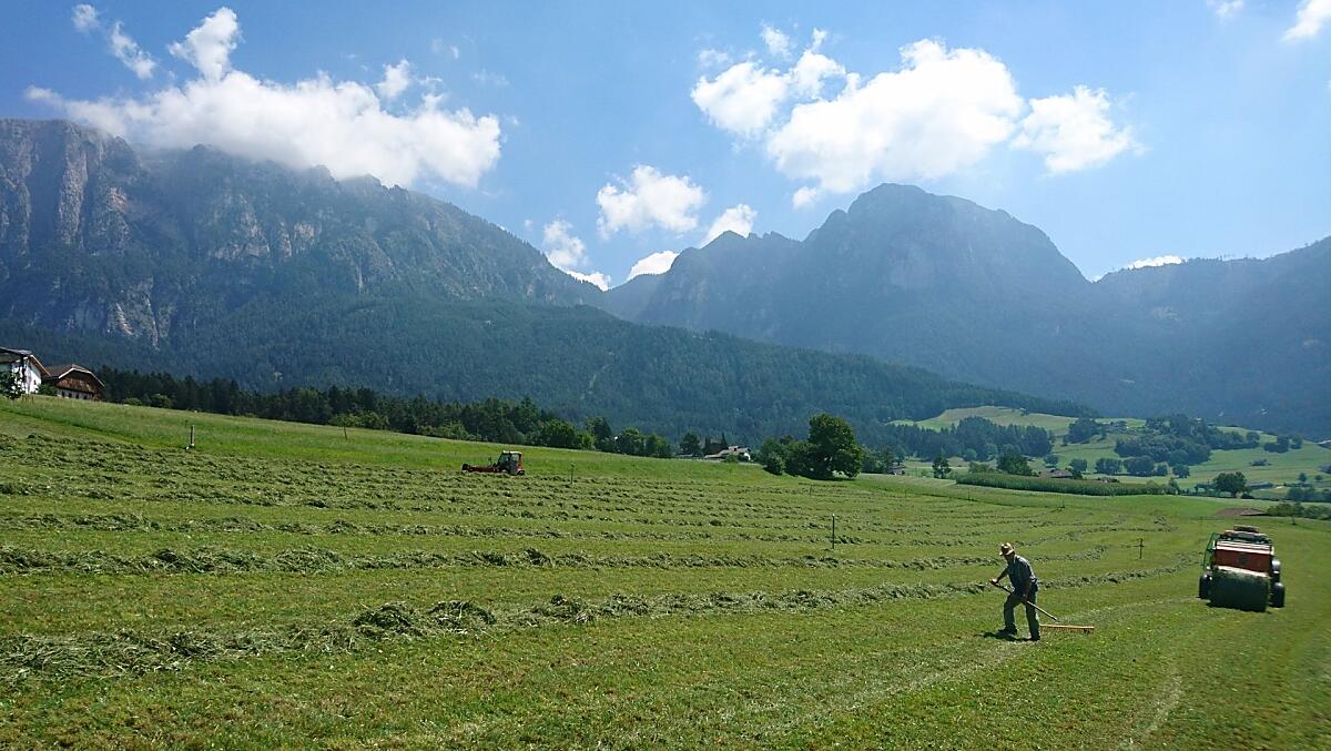 Platzerhof - Bildergalerie Photo