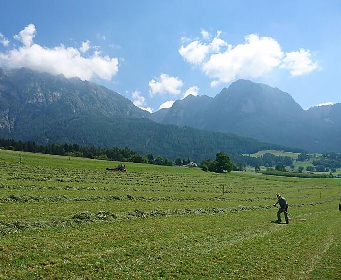 Platzerhof - Bildergalerie Photo