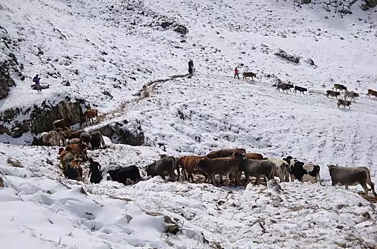 La guida familiare è in calo con l'inizio dell'inverno