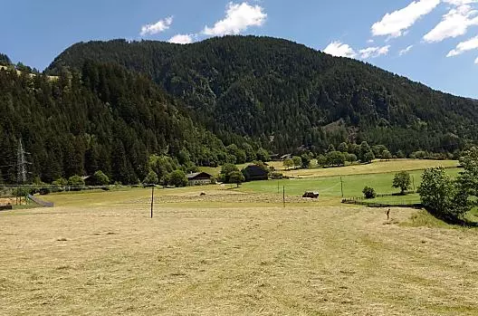 Il fieno viene portato in casa