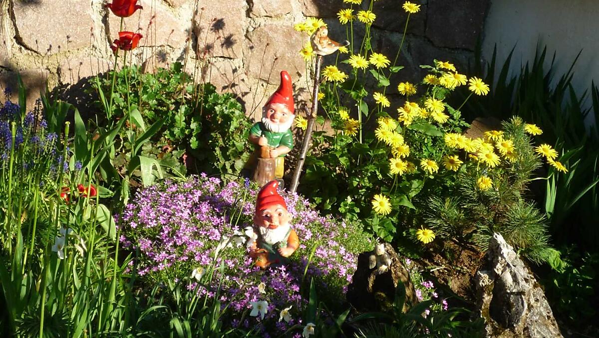 Una piccola sezione del nostro giardino roccioso. 