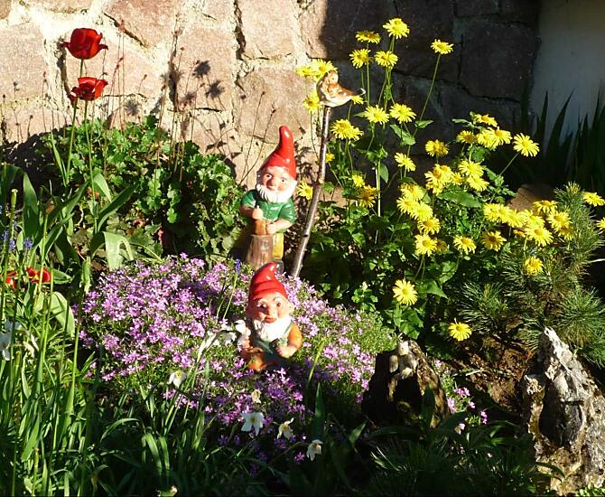 Una piccola sezione del nostro giardino roccioso. 