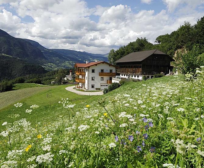 Obertschötscherhof - Bildergalerie Photo