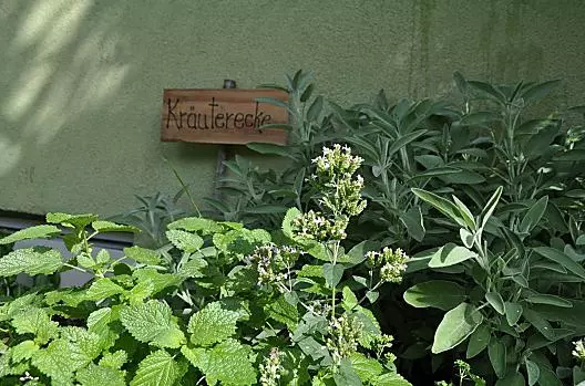 Giardino delle erbe