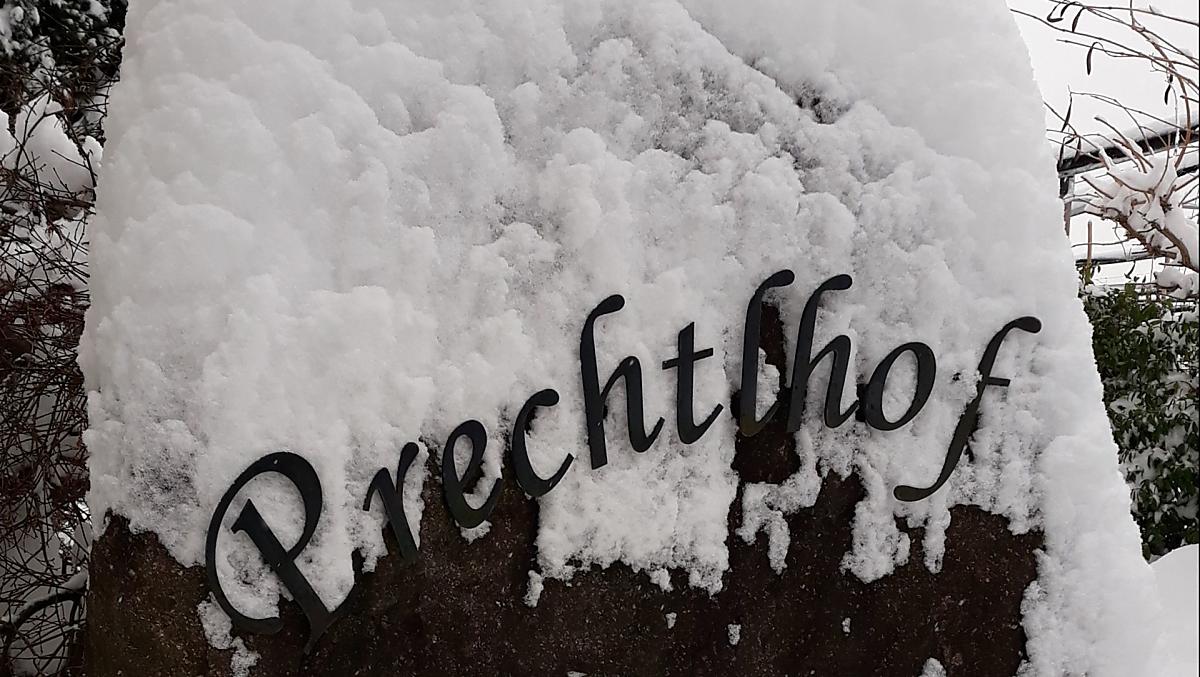 Prechtlhof - Bildergalerie Photo