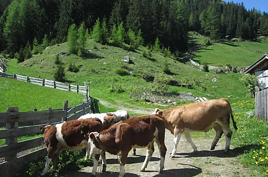 Streckerhof - Liste Photo