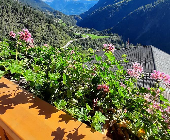 Vista panoramica verso l’uscita della valle dal nostro appartamento Meraner Land