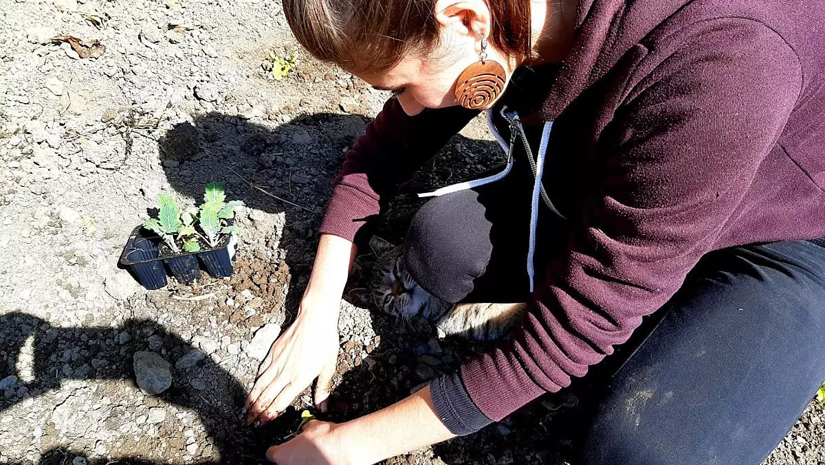 Il nostro maso ha diversi bellissimi orti tradizionali. La primavera è il momento in cui vengono seminati. 