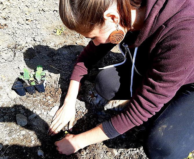 Il nostro maso ha diversi bellissimi orti tradizionali. La primavera è il momento in cui vengono seminati. 