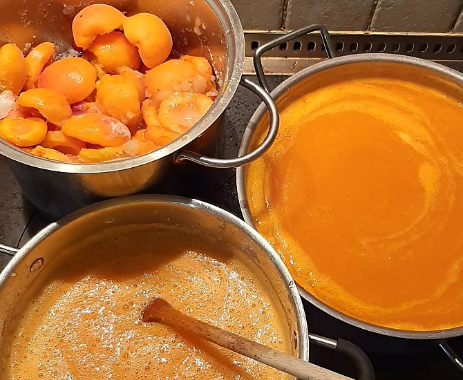 La contadina Elisabeth cucina le albicocche per produrre una deliziosa marmellata.