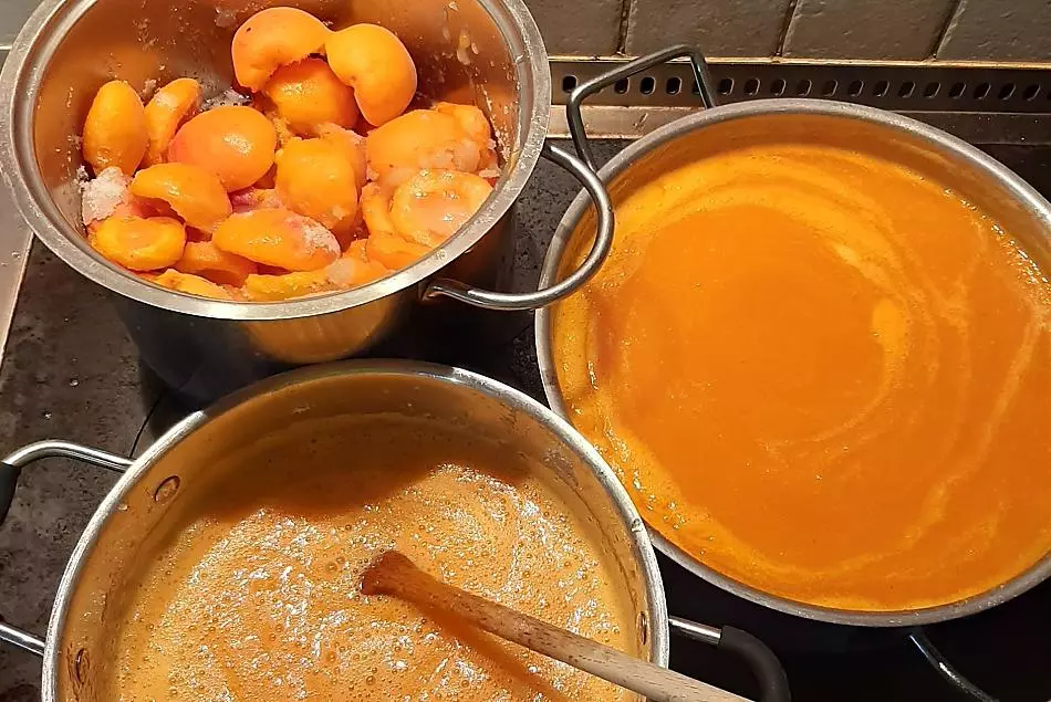 La contadina Elisabeth cucina le albicocche per produrre una deliziosa marmellata.