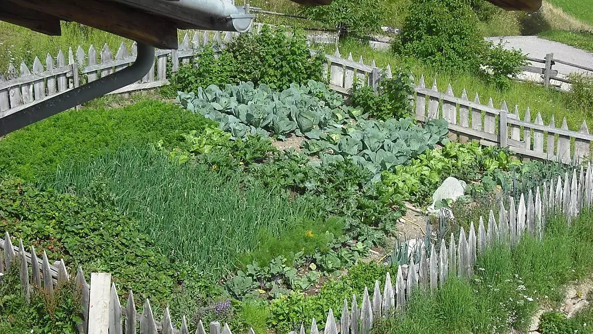 Il giardino di casa