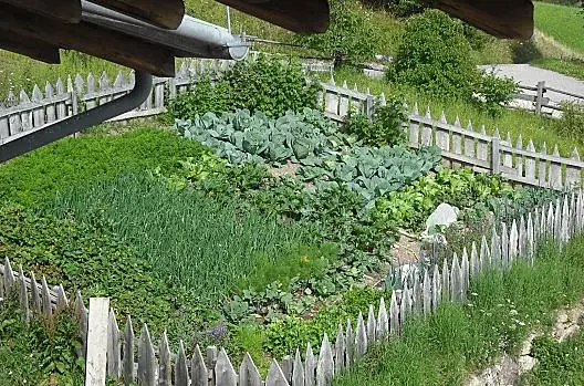 Il giardino di casa