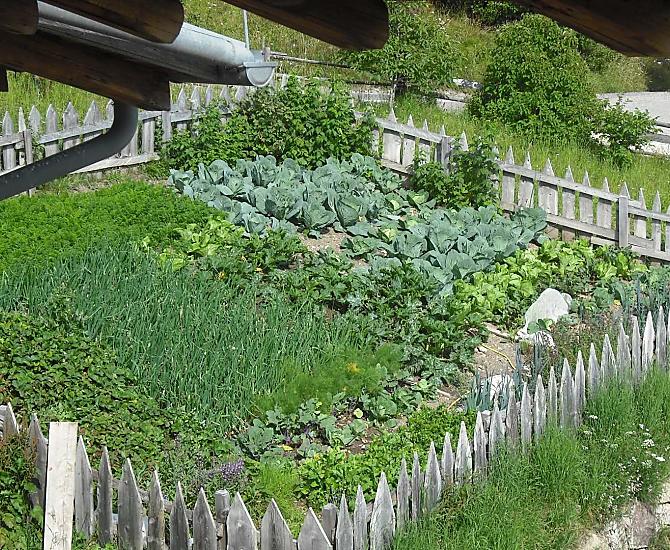 Il giardino di casa
