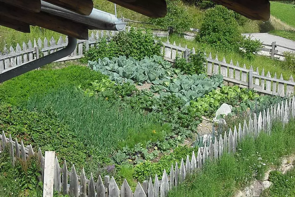 Il giardino di casa