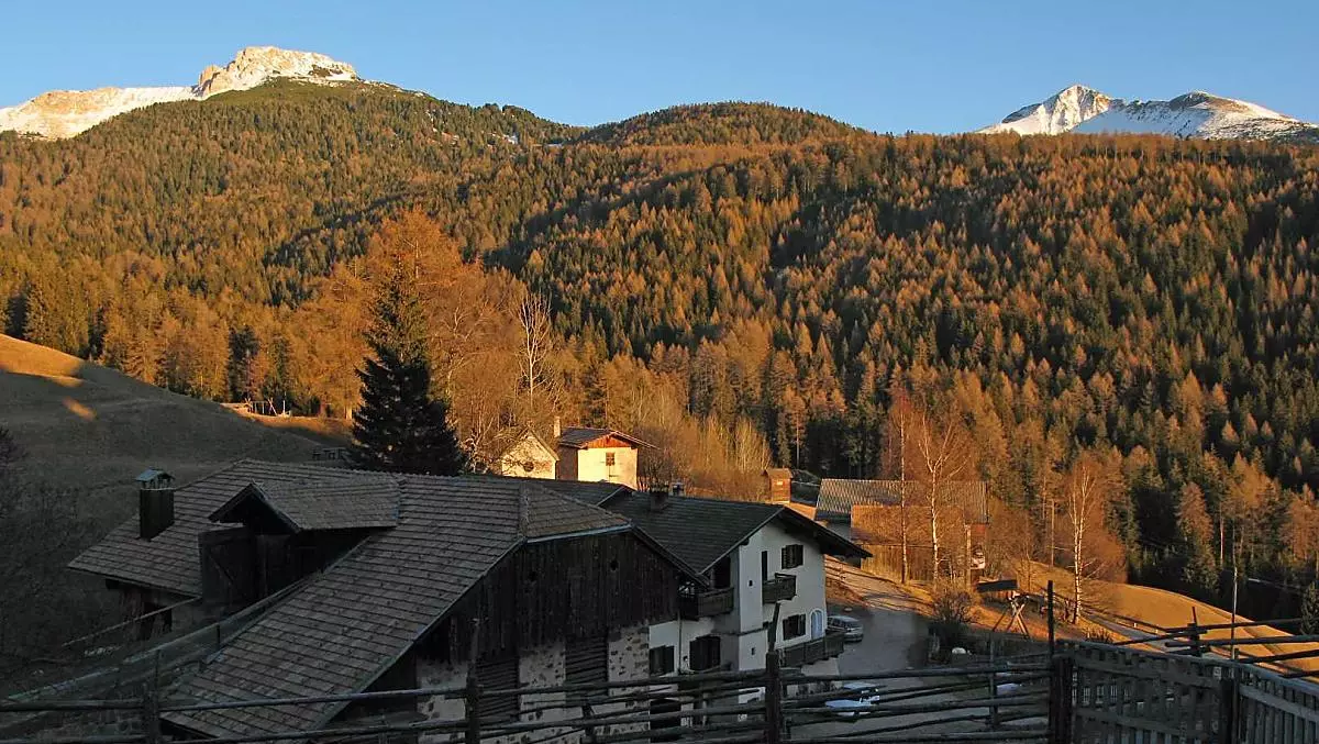 Nel tardo autunno