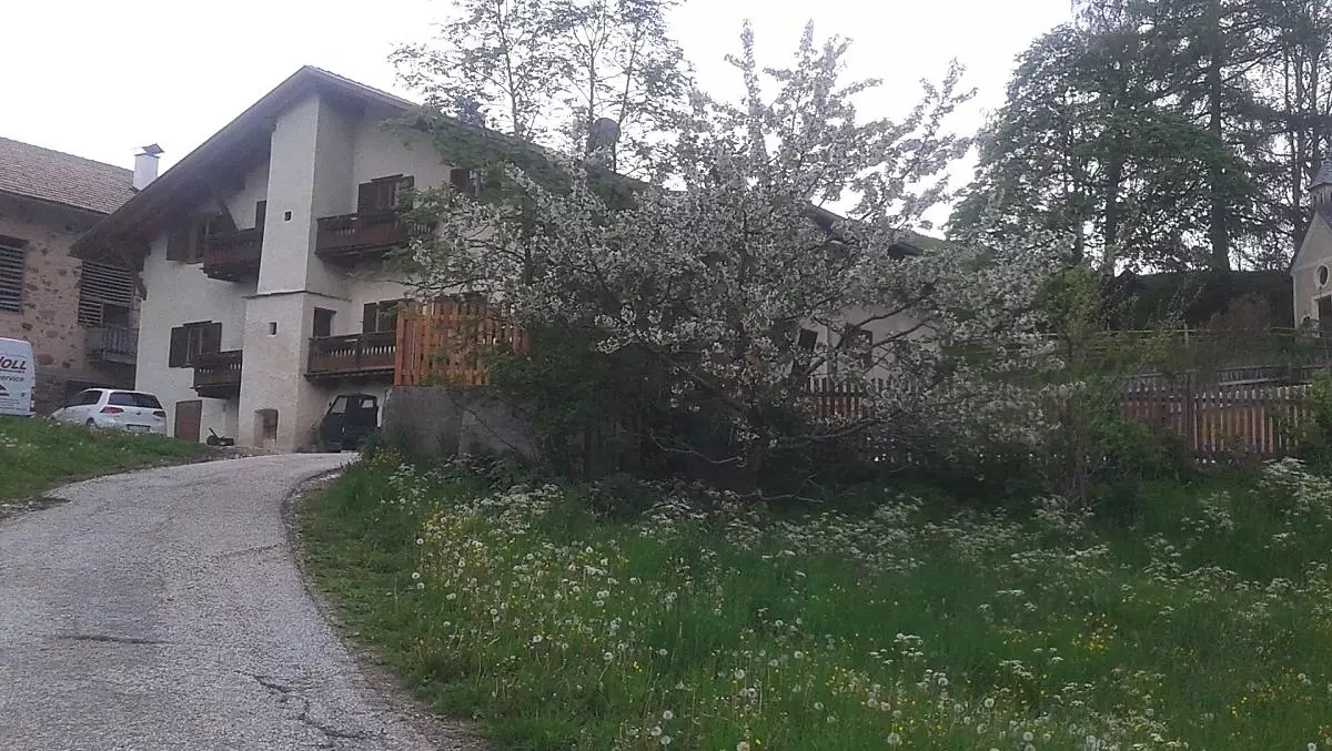 In primavera, quando il ciliegio fiorisce.