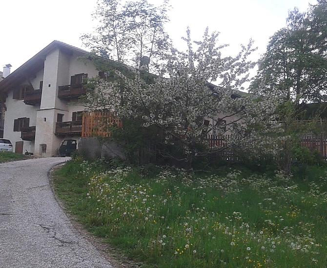 In primavera, quando il ciliegio fiorisce.